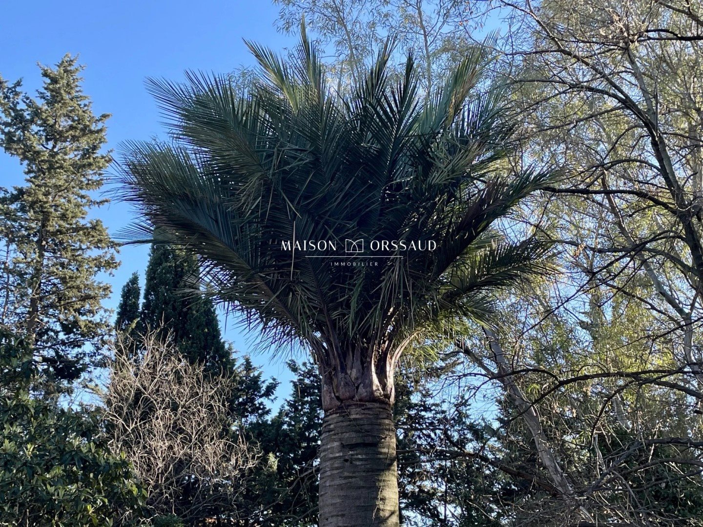 Maison à vendre, 208m², Montpellier