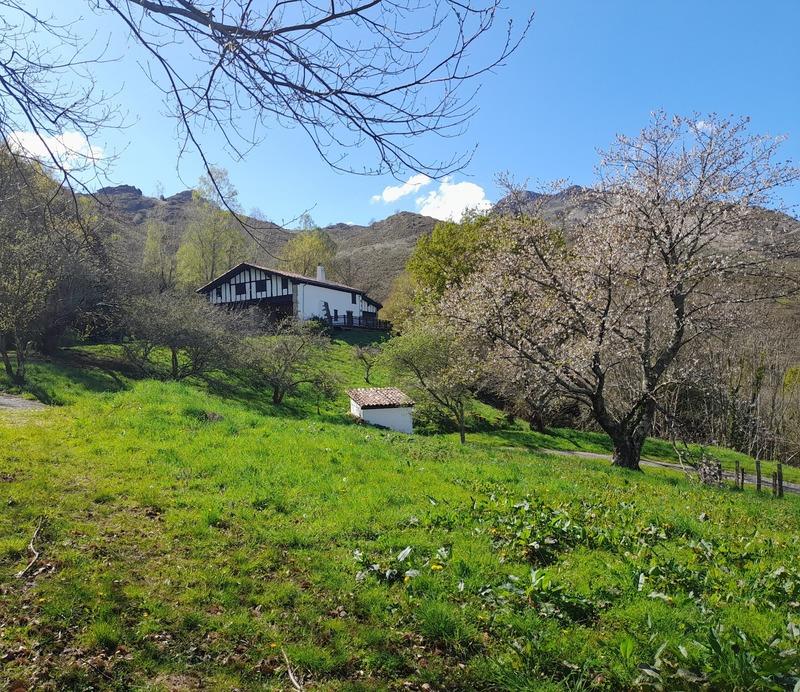 Maison à vendre, 220m², Sare