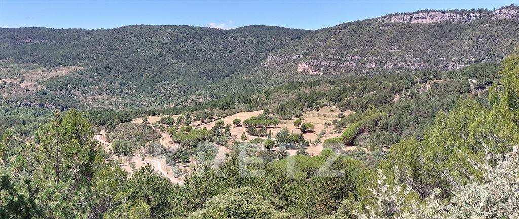 Maison à vendre, 140m², Lodève