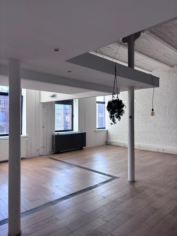 Appartement à louer, 161m², Lille