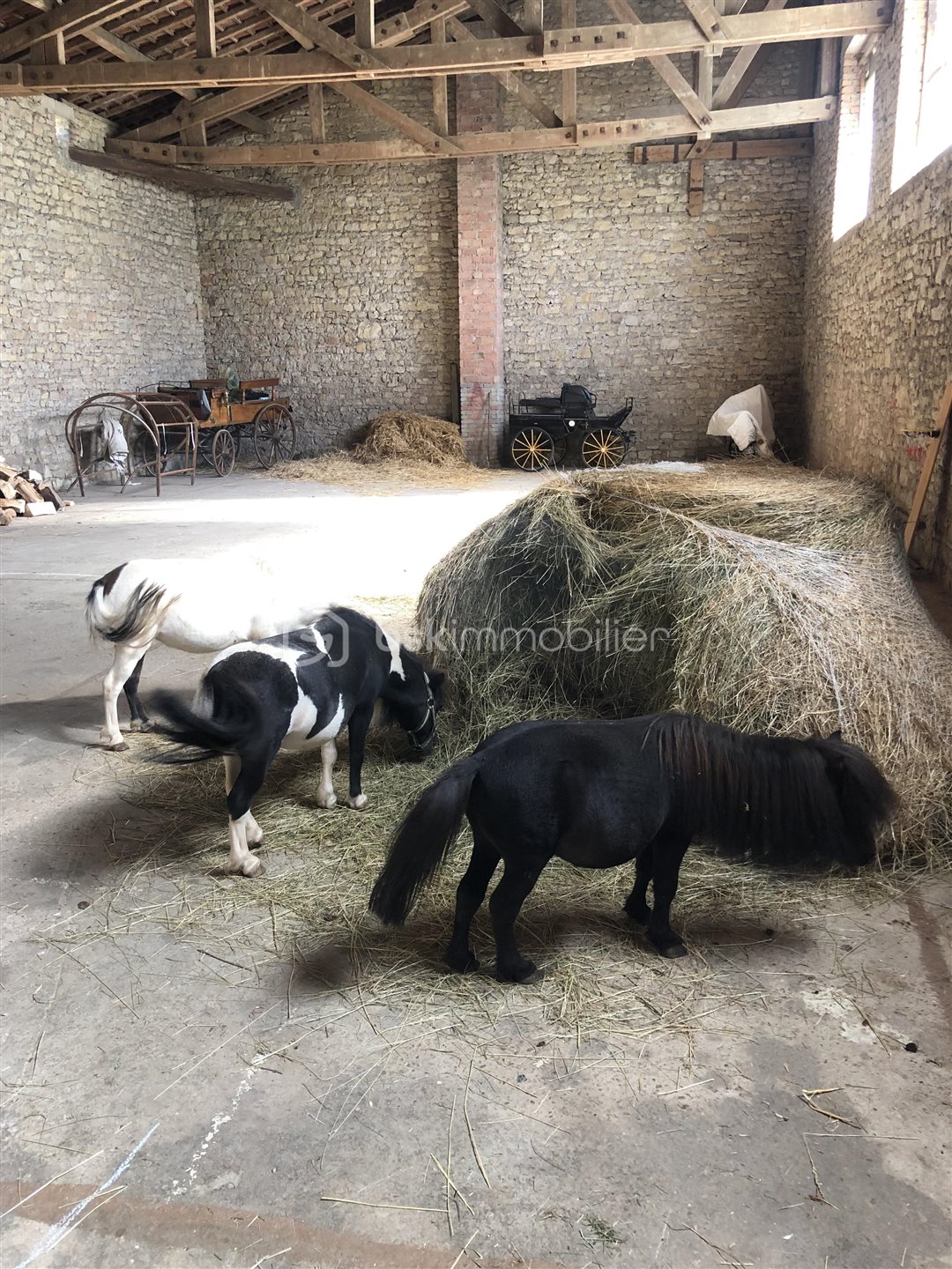 Maison à vendre, 280m², Waldwisse