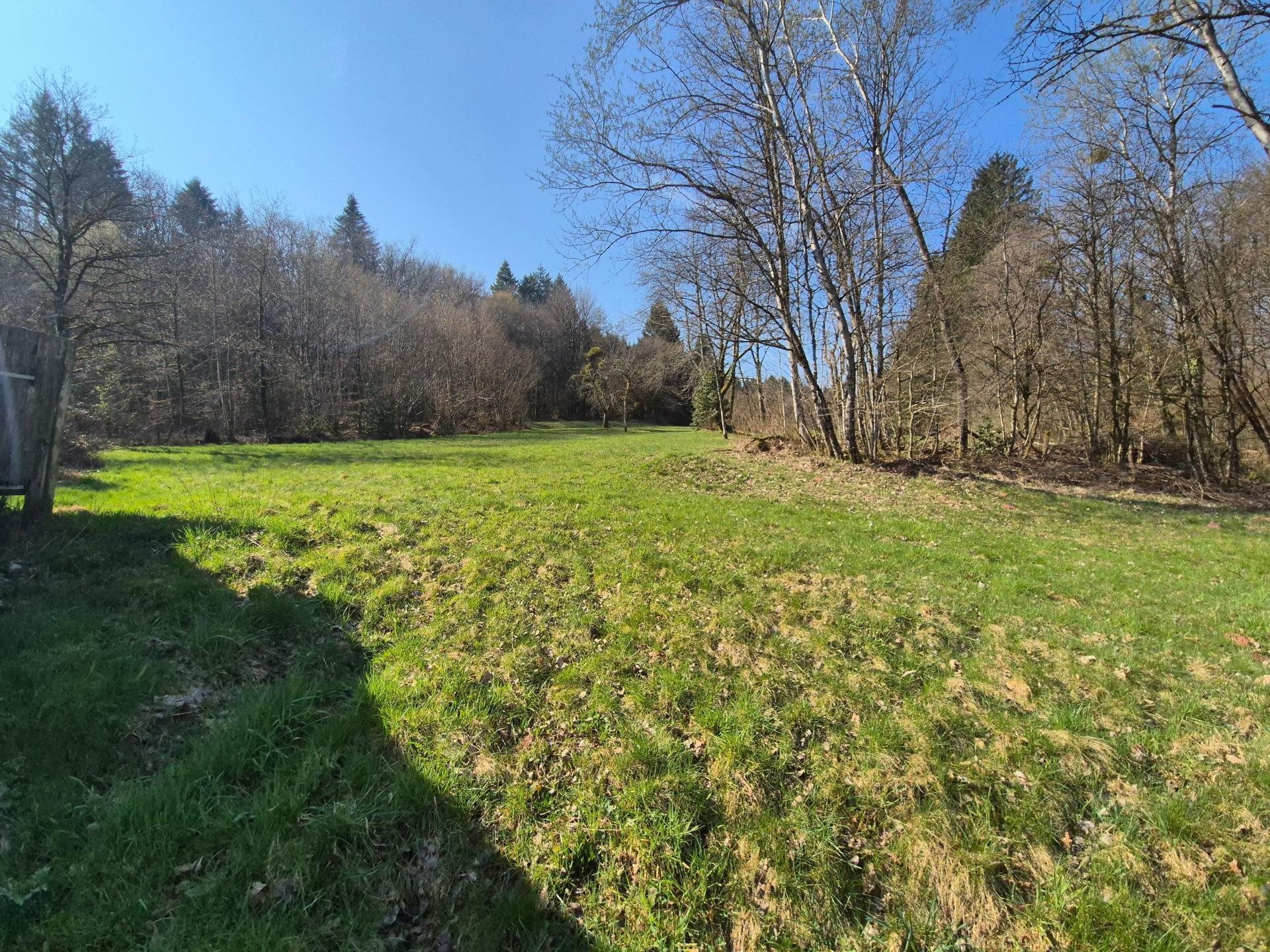 Maison à vendre, 220m², Etueffont