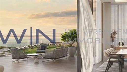 Advert picture