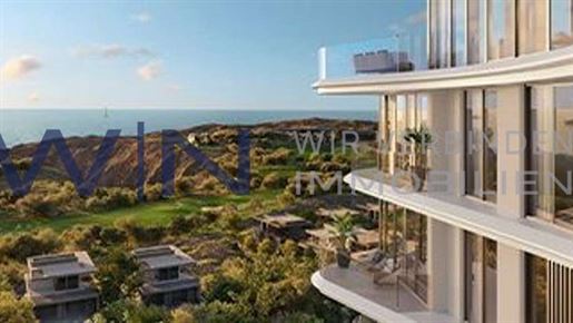 Advert picture