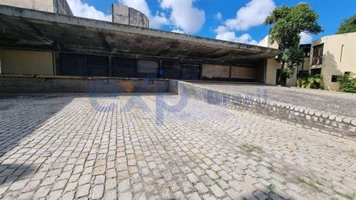 Purchase: Business premises