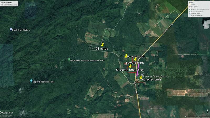 Large farm on 43 acres 10 minutes from Hopkins!
