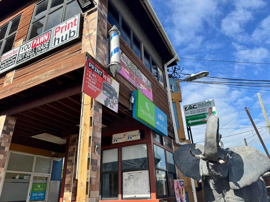 Purchase: Business premises