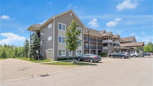 10 Brandy Lane 201 L9y 0X4 Sl