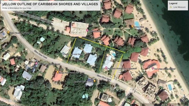 Purchase: Business premises