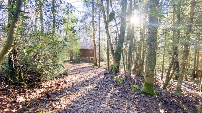 2 bedroom chalet in the middle of the woods