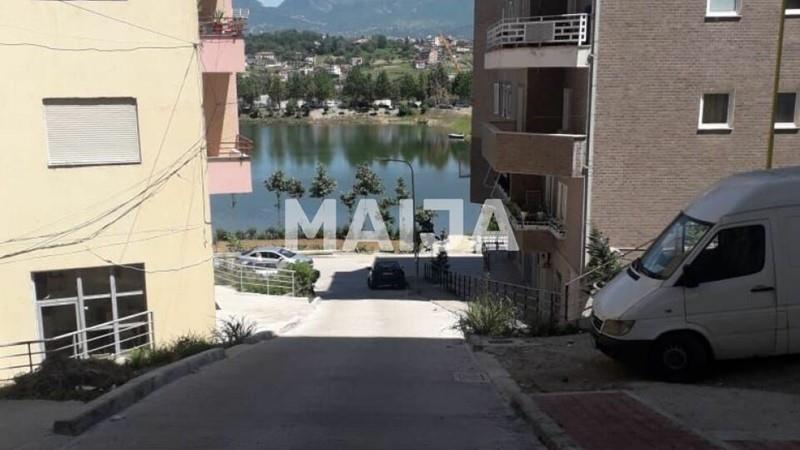 Purchase: Apartment (10011028)