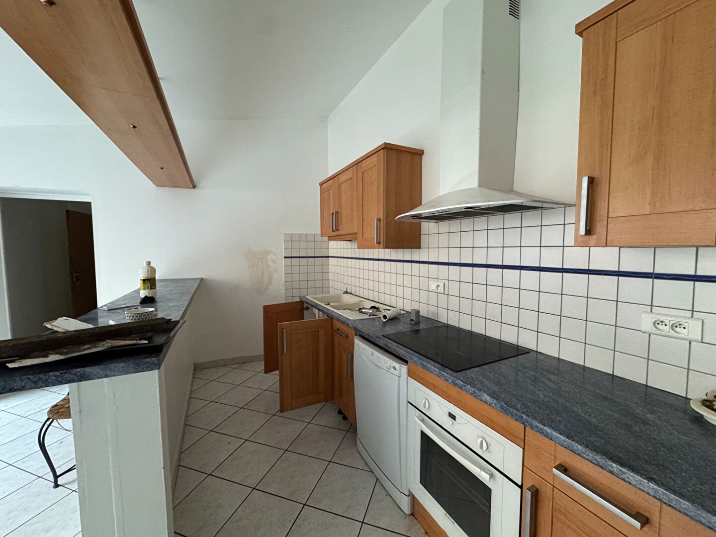 Appartement à vendre, 295m², Gaillac
