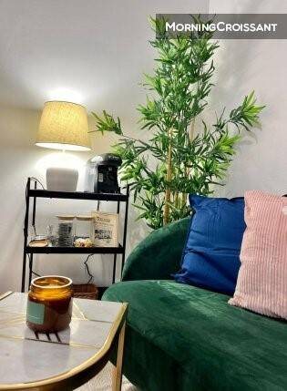 Appartement à louer, 22m², Fronton