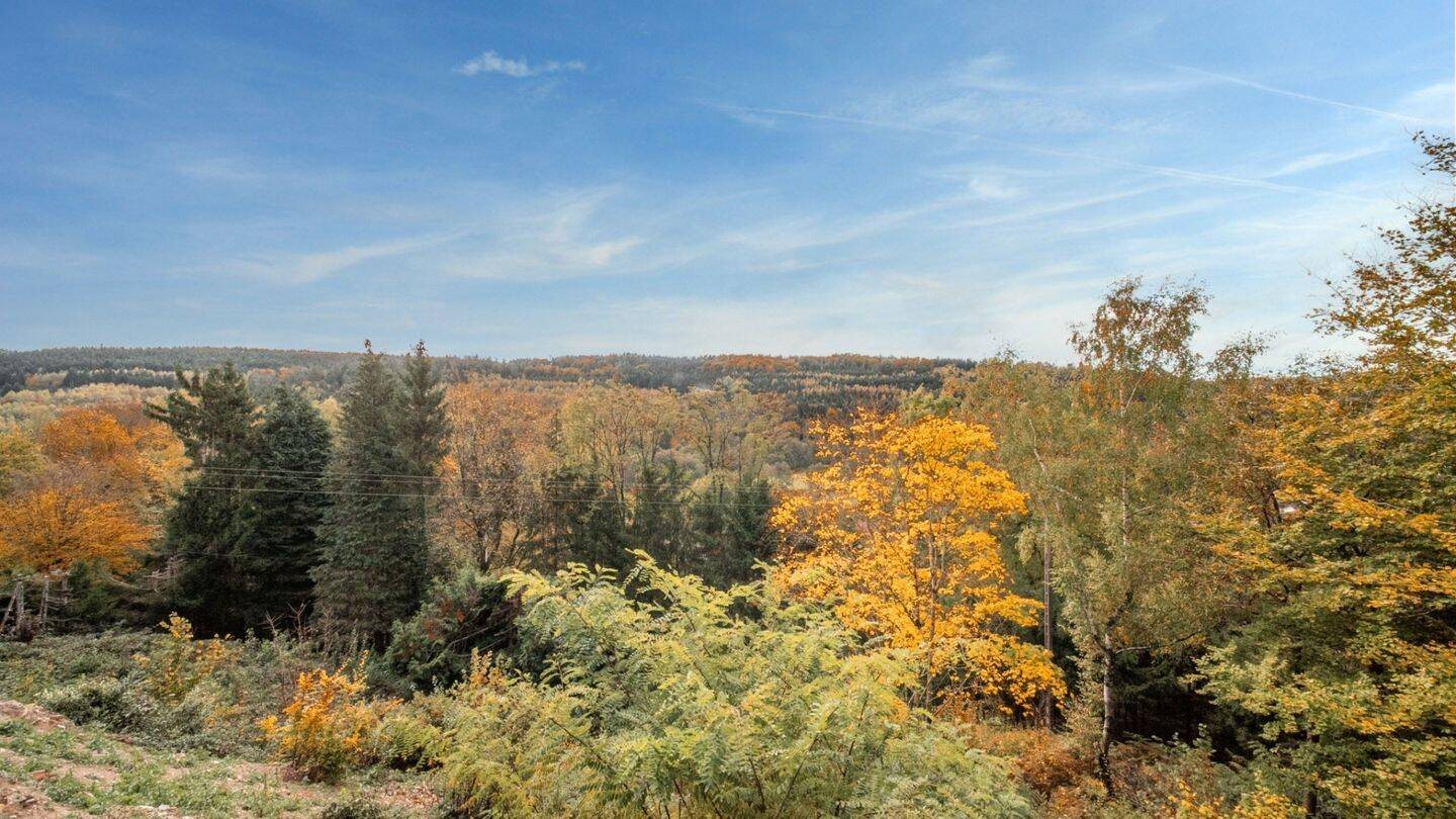 Maison à vendre, 125m², Moyenmoutier