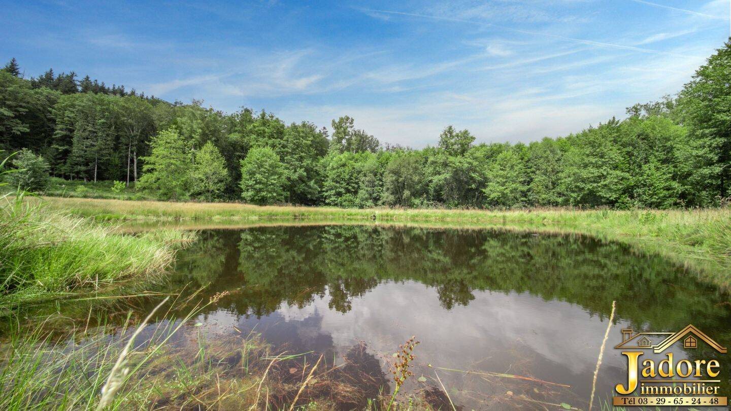 Maison à vendre, 50m², Anould