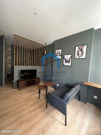 Appartement à louer, 28m², Saint-Etienne