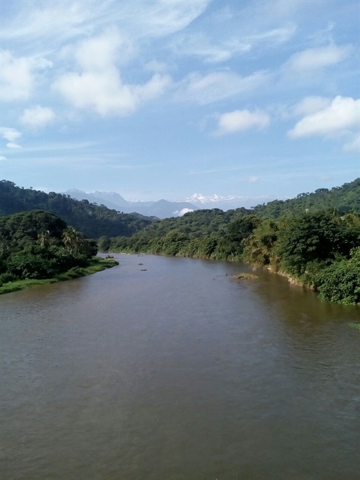 Development land for sale in Palomino