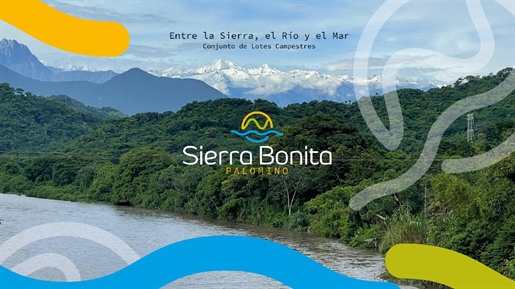 Development land for sale in Palomino