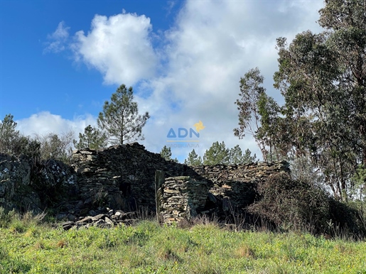 Land with 4240m2, ruin and well for sale