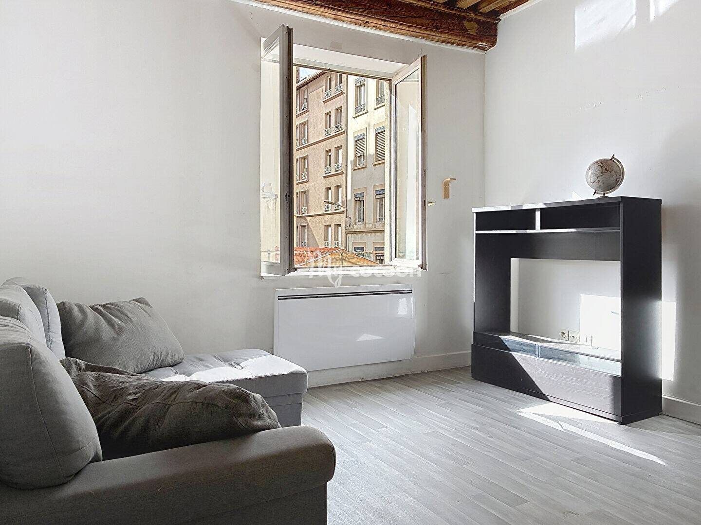 Appartement à vendre, 36m², Lyon 7ème