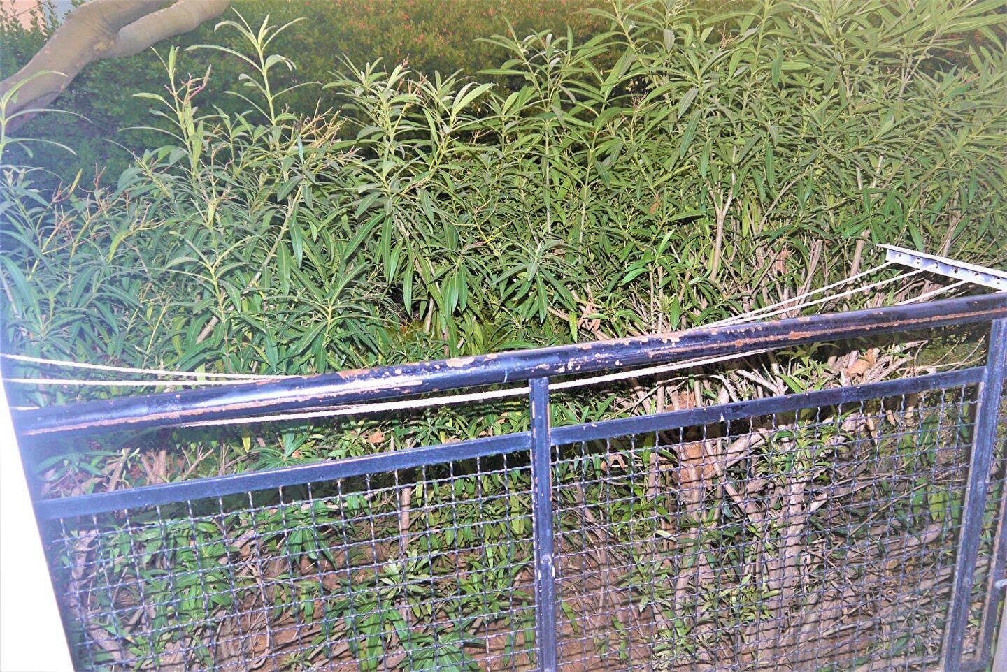 Appartement à vendre, 54m², Marseille 9ème