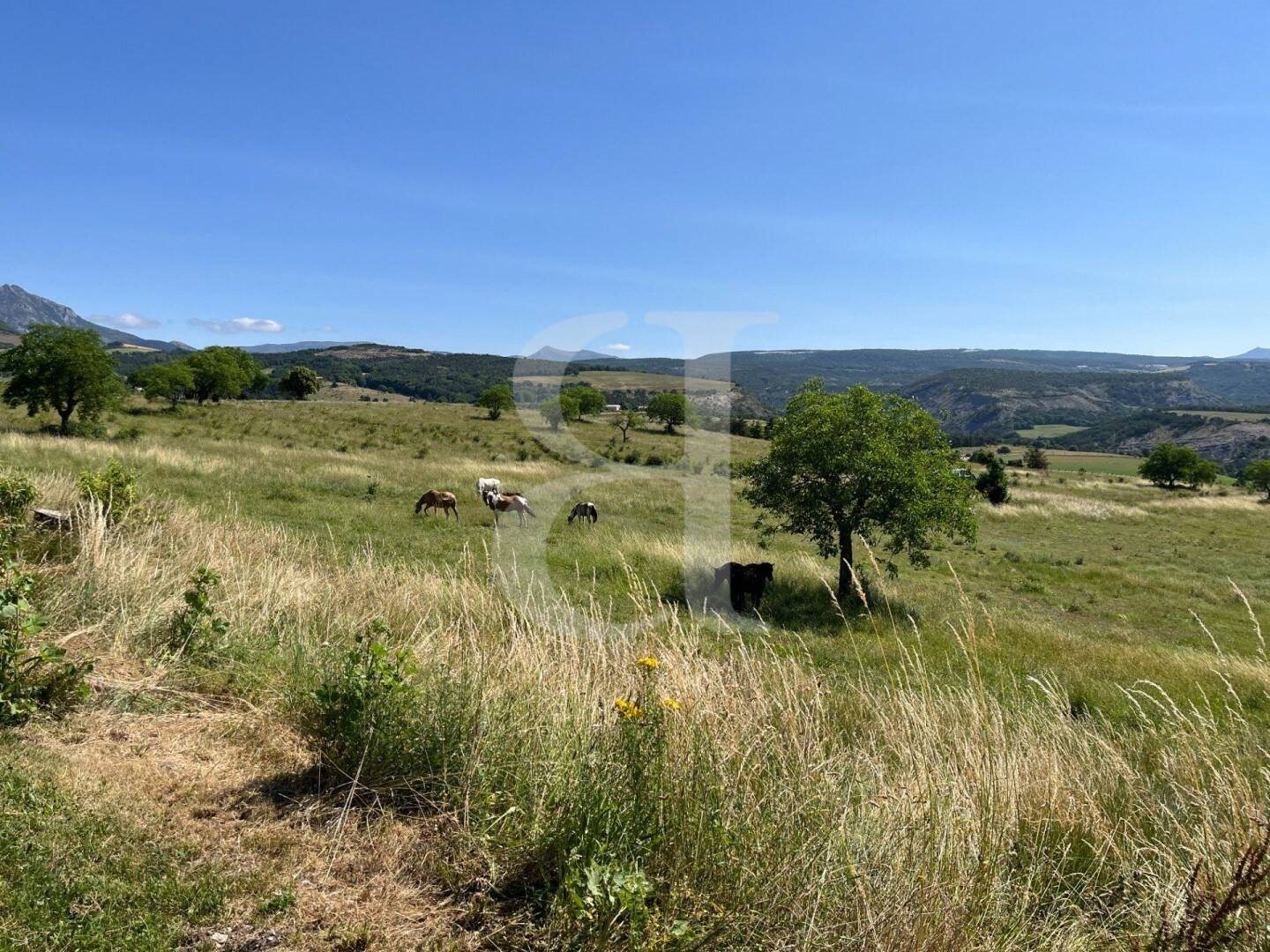 Maison à vendre, 524m², Saint-André-de-Rosans