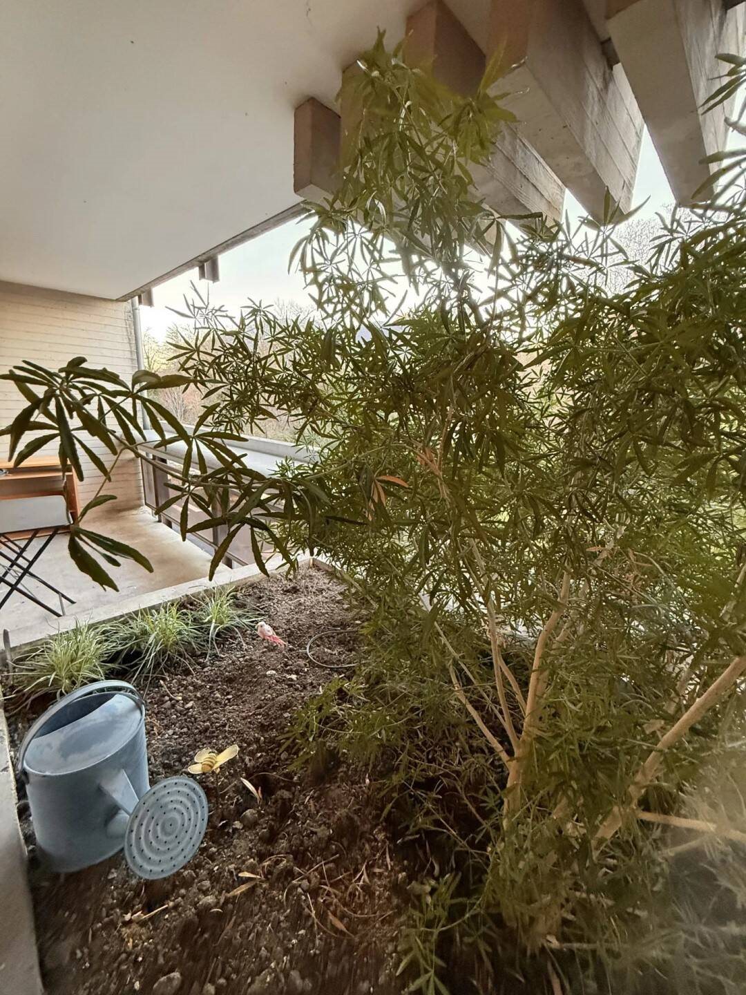 Appartement à louer, 36m², Grenoble