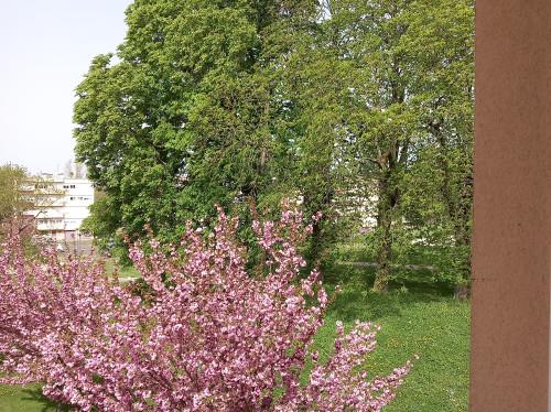 Appartement à louer, 53m², Autun