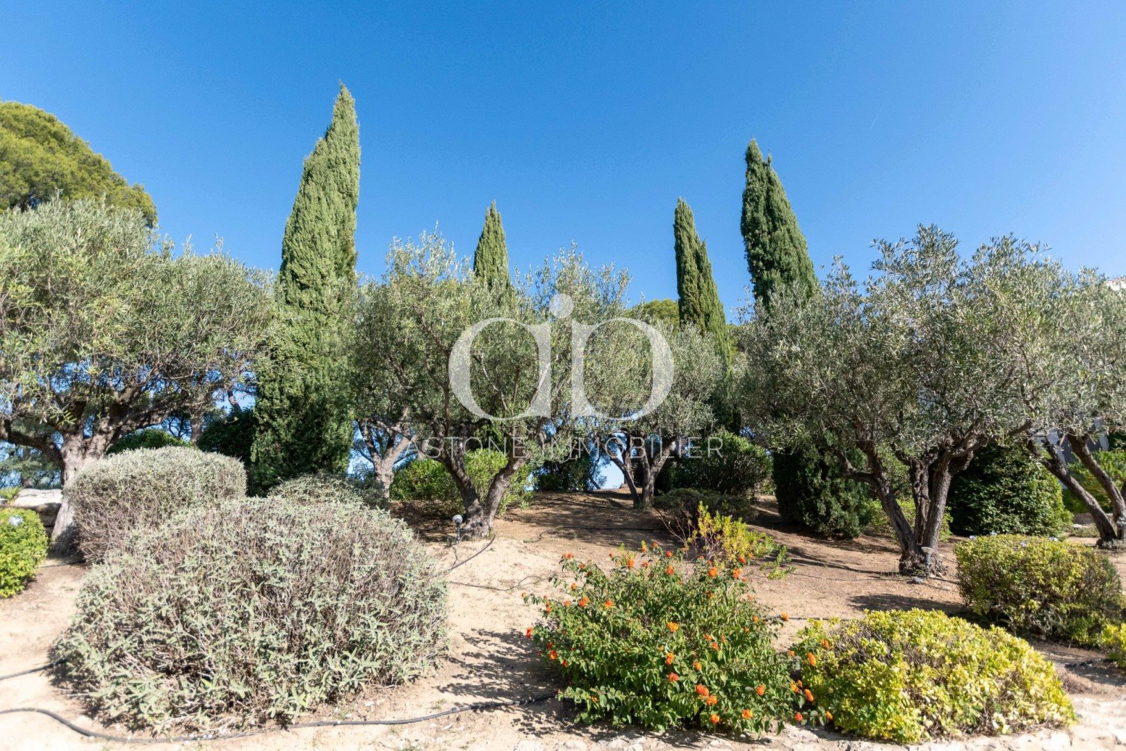 Maison à vendre, 563m², La Cadière-d'Azur