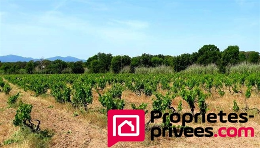Advert picture