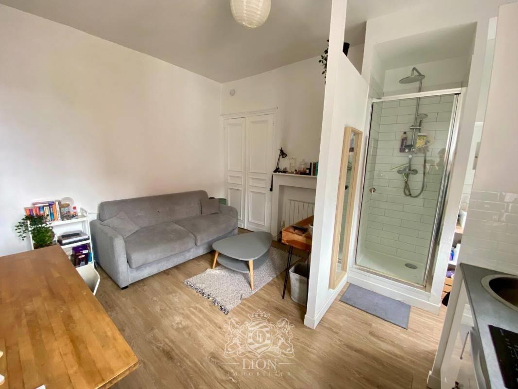 Appartement à vendre, 15m², Lille