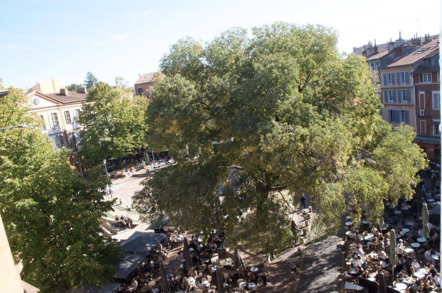 Appartement à louer, 118m², Toulouse