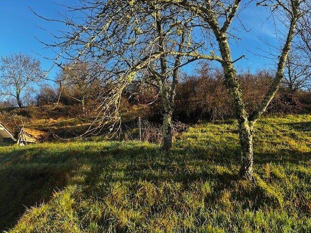 Maison à vendre, 72m², Cusset