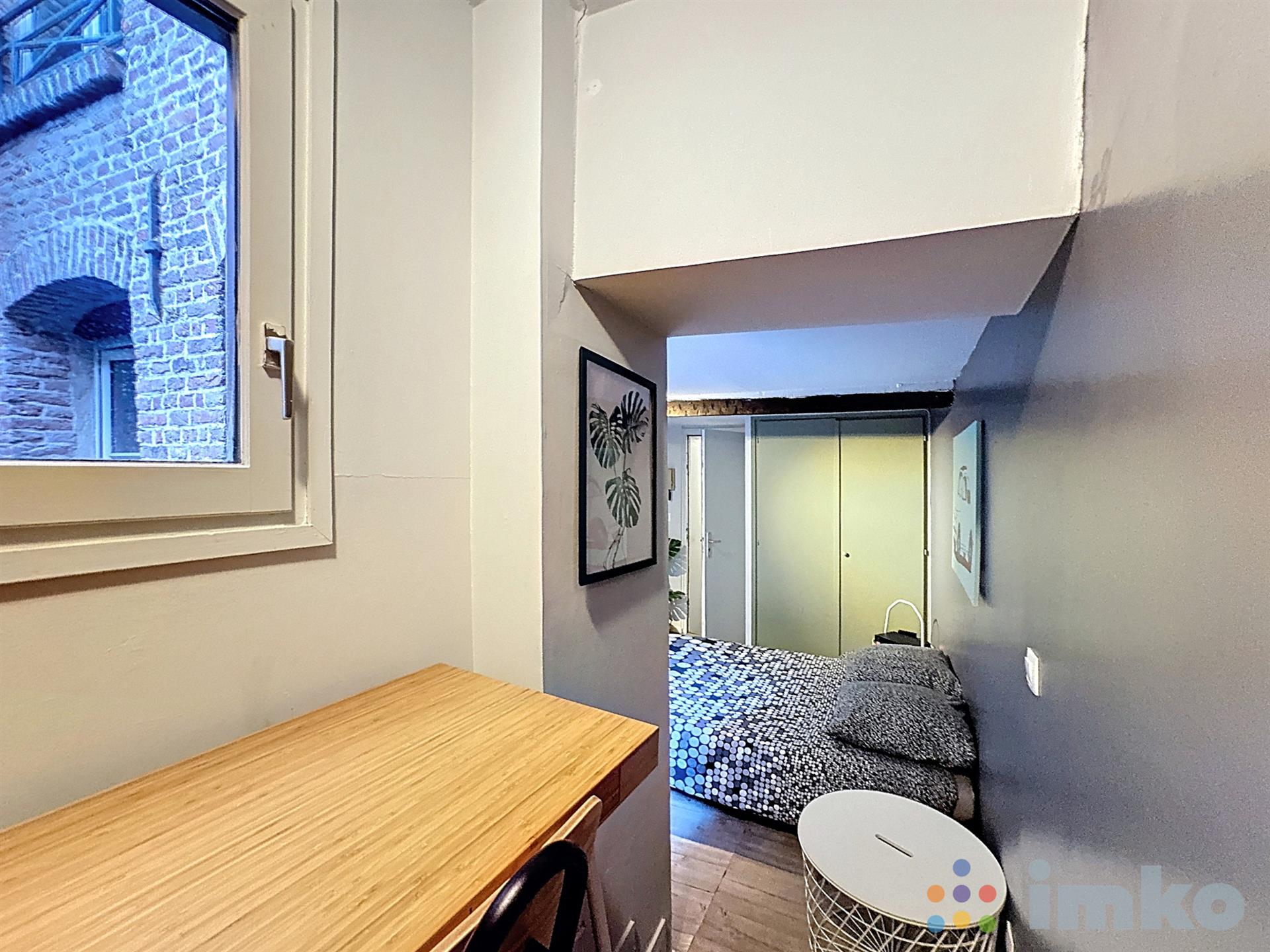 Appartement à vendre, 18m², Lille