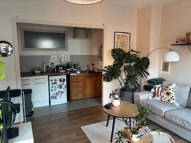 Appartement à louer, 35m², Lille