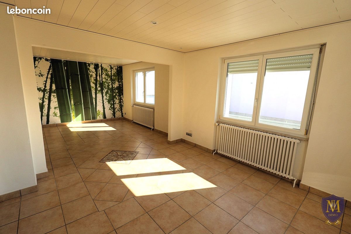 Maison à vendre, 110m², Blotzheim
