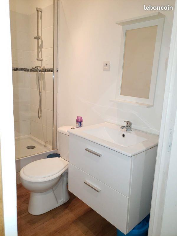 Appartement à louer, 35m², Saint-Etienne