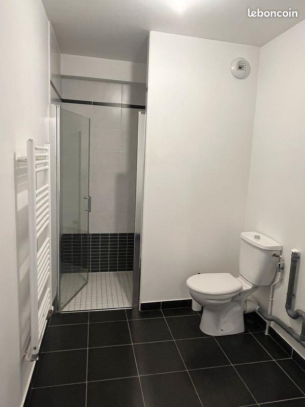 Appartement à louer, 48m², Reims