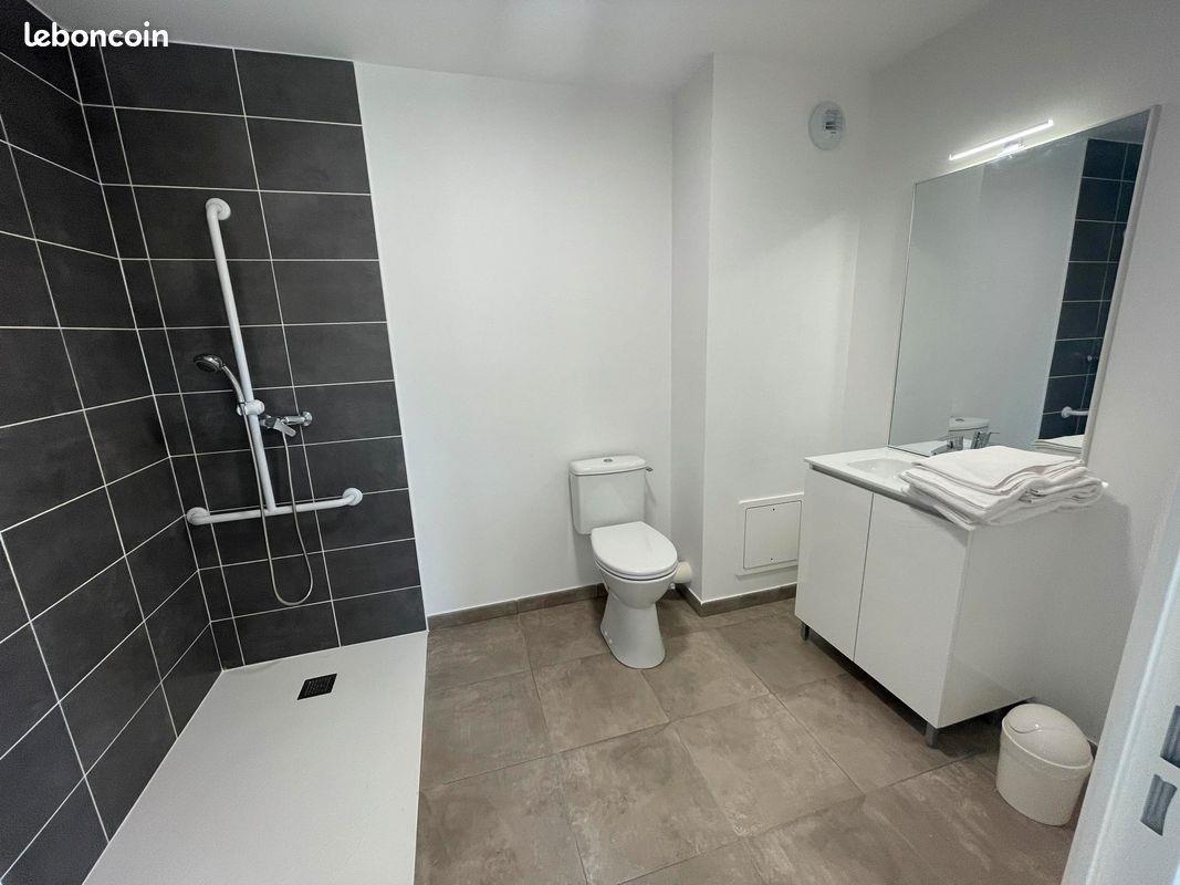 Appartement à louer, 31m², Lyon 8ème