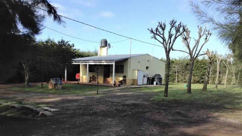 Purchase: House
