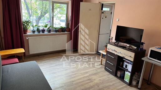 Bild der Anzeige