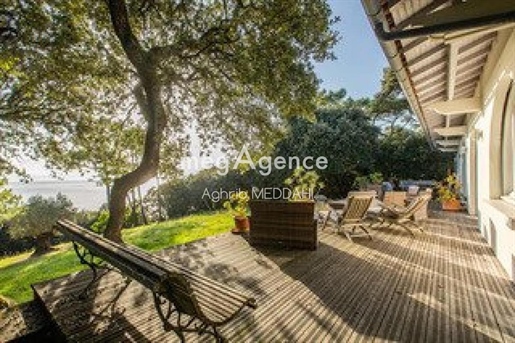 Advert picture