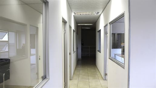 Purchase: Business premises