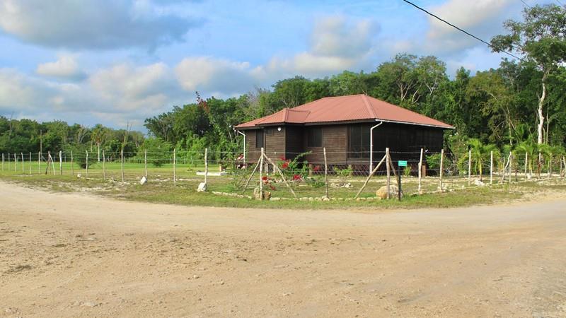Kauf: Haus