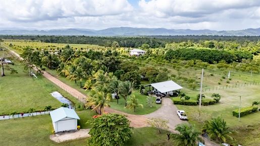 Deep South Farms – Ferme biologique clé en main avec possibilité de développement résidentiel