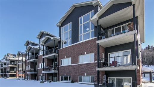 Purchase: Apartment