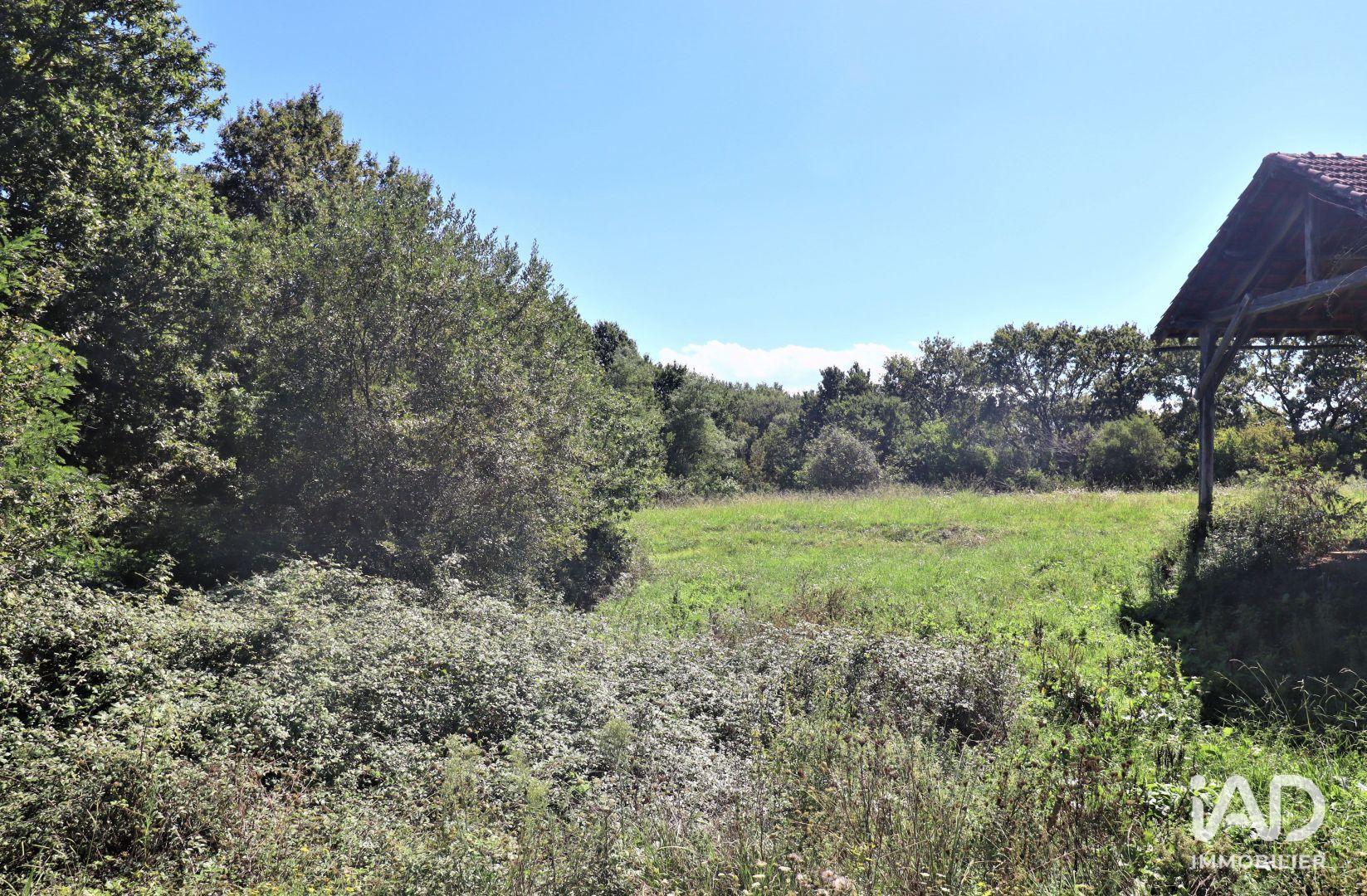 Maison à vendre, 377m², Saint-Martin-de-Hinx