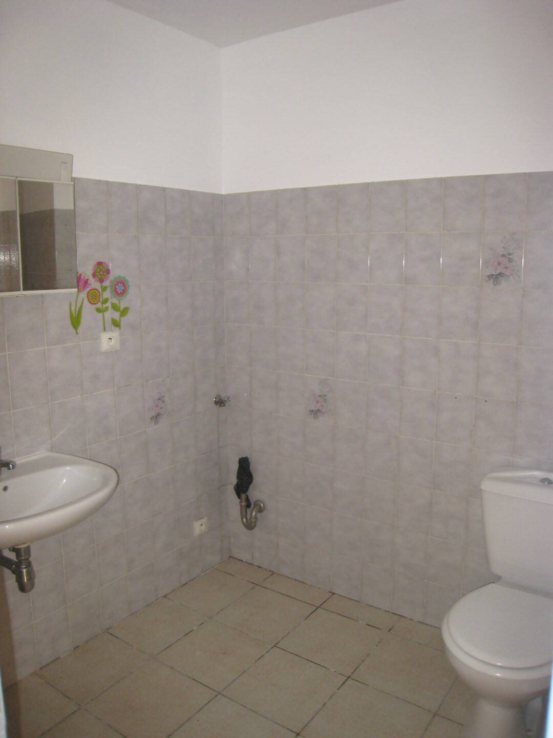 Appartement à louer, 41m², La Roche-sur-Foron