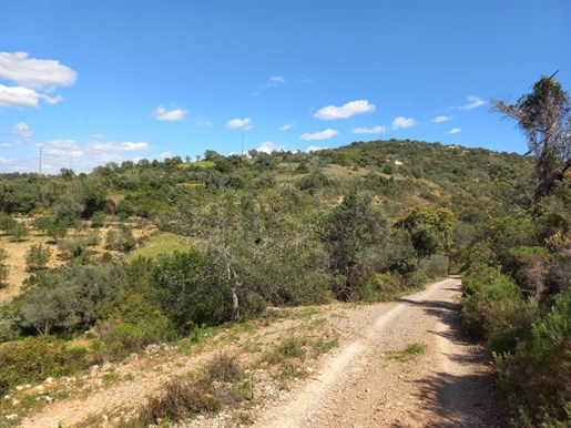 Two rustic plots of land, Sitio da Murta, Estoi, Algarve