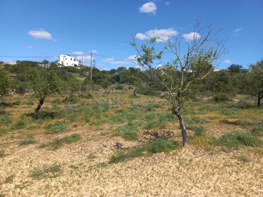 Rustic land, Conceição, Faro, Algarve